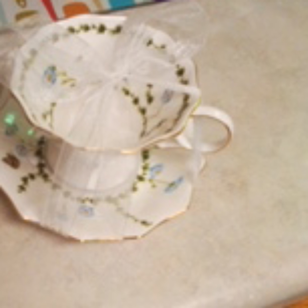 Brand New Never Used Teacup And Saucer